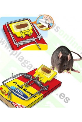 Ratones atrapados en una jaula de trampa. dentro de trampas para ratas.