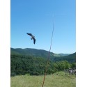Ahuyentador de aves mástil cometa Espantapajaros