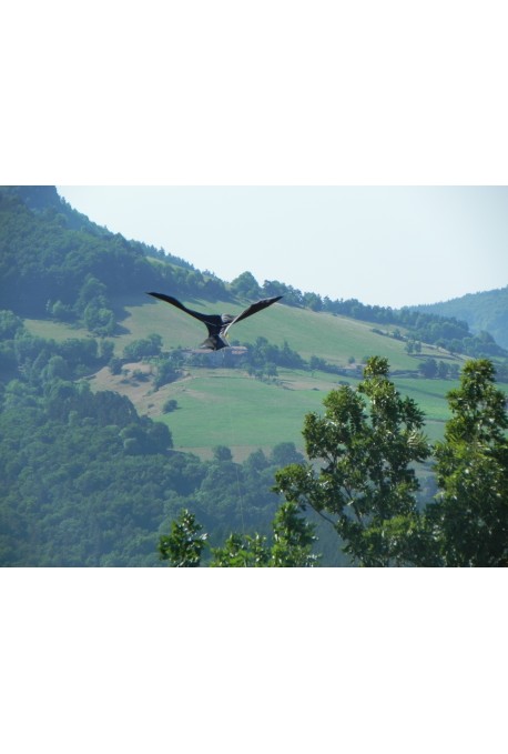 Ahuyentador de aves mástil cometa Espantapajaros