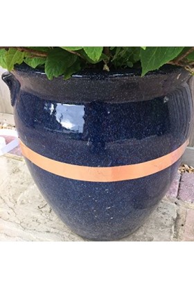 TRAMPA CINTA 4M REPELENTE CARACOLES Y BABOSAS STV 2