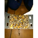 TRAMPA CAPTURA CUCARACHA ECO PACK 3 uds TRAMPA CAPTURA CUCARACHA ECO PACK 3 uds