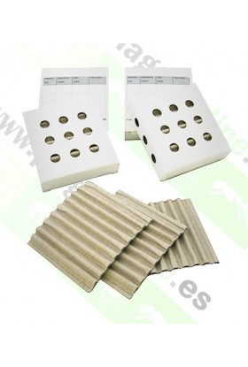 productos para eliminar chinches de cama insecticida para eliminar chinches veneno productos productos para eliminar chinches de cama insecticida para eliminar chinches veneno productos