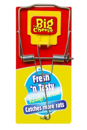 TRAMPA PLASTIFICADA PARA RATAS CON CEBO FRESCO STV 2