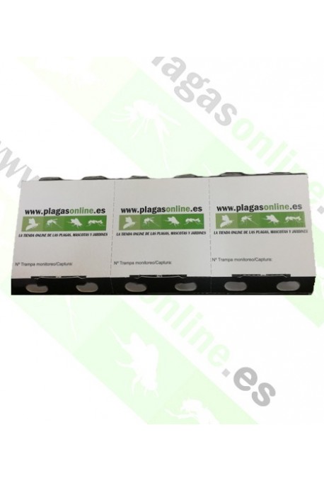 TRAMPA CAPTURA CUCARACHA ECO PACK 3 uds