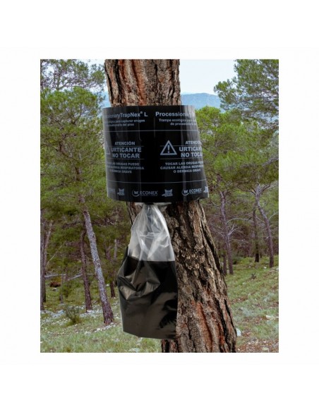 TRAMPA PROCESIONARIA ORUGA 【Solución Definitiva】