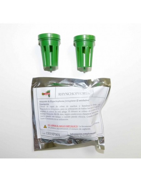 Escarabajo Rojo Picudo Productos | Envío Gratis 24/48h