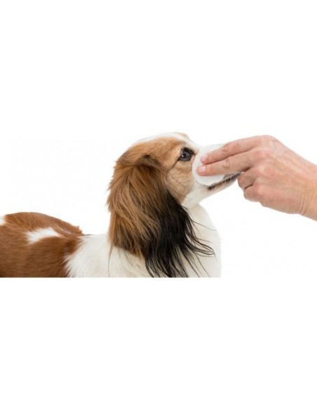 Limpiador de Ojos Eye Care 100uds Limpiador de Ojos Eye Care 100uds