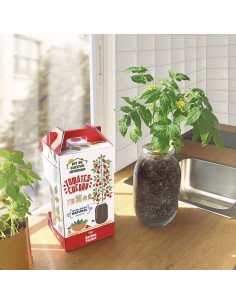 Kit Interior Tomate Cherry ECO 2