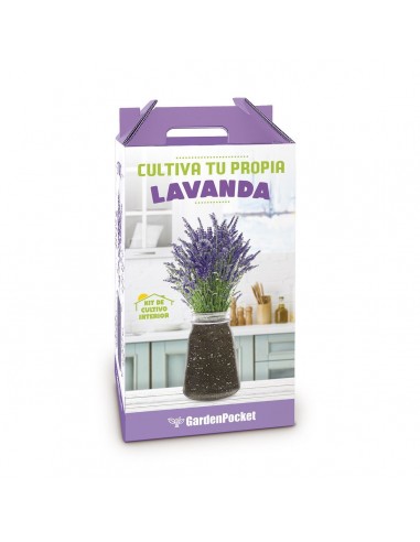 Kit Cultivo Interior Lavanda