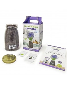 Kit Cultivo Interior Lavanda 2