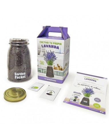 Kit Cultivo Interior Lavanda