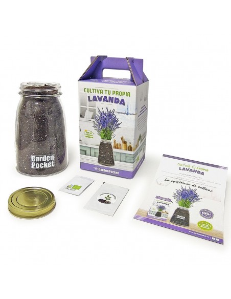 Kit Cultivo Interior Lavanda