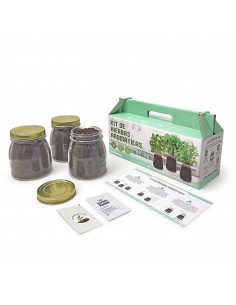 Kit de Cultivo Interior Aromáticas 2