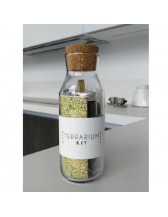 Kit TERRARIUM Vertical 2