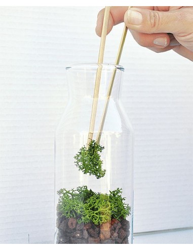 Kit TERRARIUM Vertical