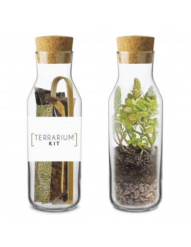 Kit TERRARIUM Vertical