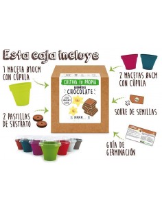 SEMILLA CHOCOLATE 【TIENDA】 2