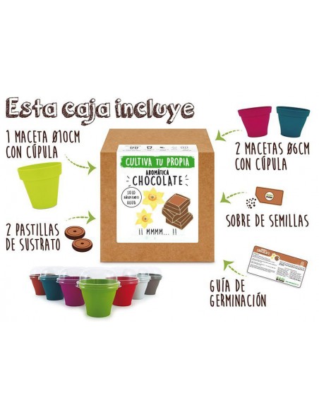 SEMILLA CHOCOLATE 【TIENDA】