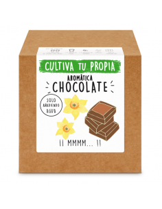 SEMILLA CHOCOLATE 【TIENDA】