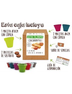 Kit Cultiva Cacahuetes 2
