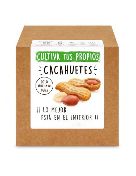 Kit Cultiva Cacahuetes