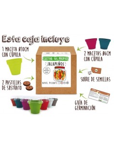 Kit Cultiva Jalapeños 2