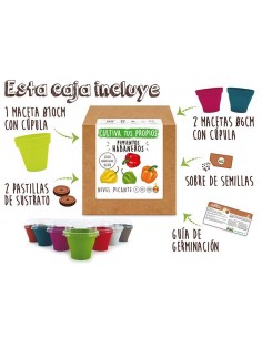 Semilla Pequeña con Sabor Intenso y Picante 2