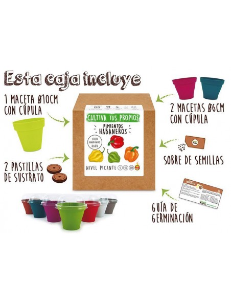 Semilla Pequeña con Sabor Intenso y Picante