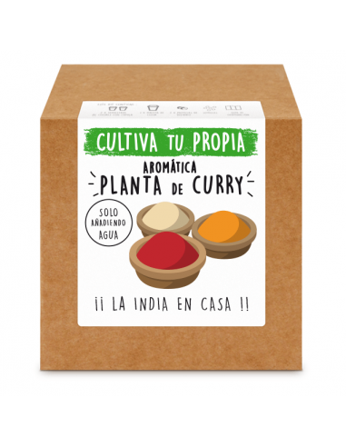 Kit Aromática Curry