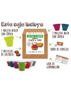 Kit Aromática Curry 2