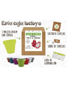 PITAHAYA PRECIO - CULTIVO DE PITAHAYA 2