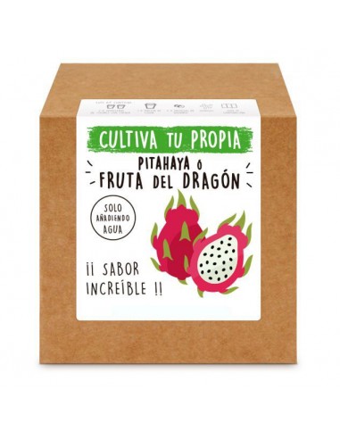 PITAHAYA PRECIO - CULTIVO DE PITAHAYA
