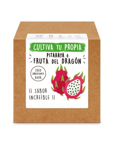 PITAHAYA PRECIO - CULTIVO DE PITAHAYA