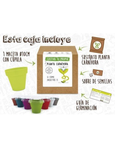 Kit PLANTA DE CARNÍVORA VENUS