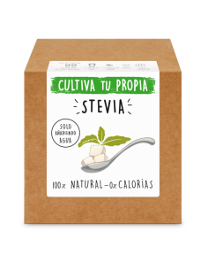 COMPRAR SEMILLAS STEVIA 【TIENDA】