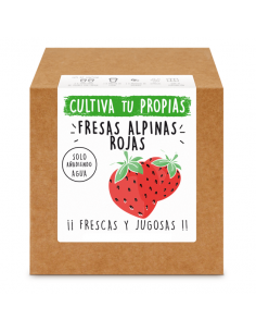 Kit FRESAS ROJAS