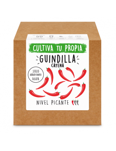 Kit GUINDILLA CAYENA