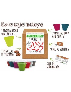 Kit GUINDILLA CAYENA 2