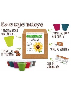 Kit Girasol 2