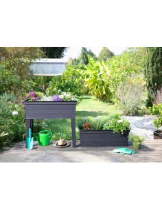 MESA DE CULTIVO CON INVERNADERO 【TIENDA】 2