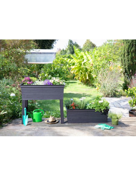 MESA DE CULTIVO CON INVERNADERO 【TIENDA】 MESA DE CULTIVO CON INVERNADERO 【TIENDA】