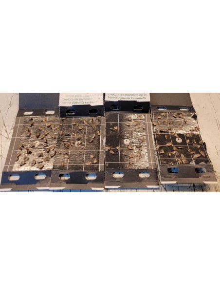 Trampa polilla de la harina [TIENDA]