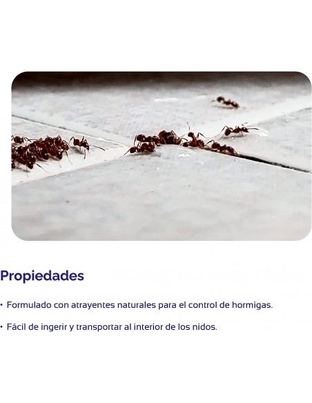 Gel Antihormigas Cebo Jeringuilla de 5gr | Envío Gratis 24h