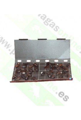 TRAMPA CAPTURA CUCARACHA ECO PACK 3 uds 2