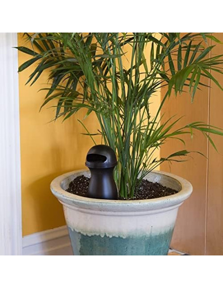 Trampa para Mosquitos Green Interiores Trampa para Mosquitos Green Interiores