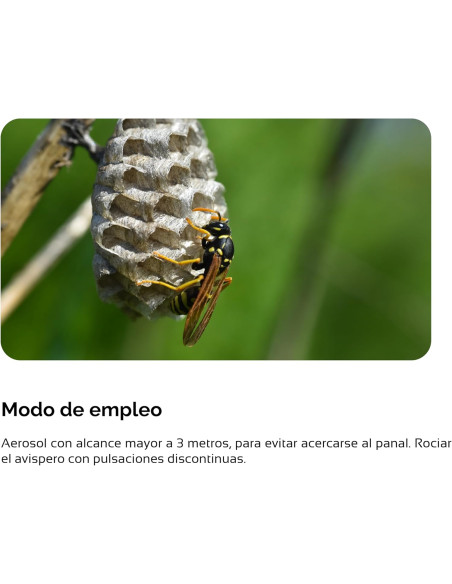 Insecticida avispas aerosol largo alcance 750ml