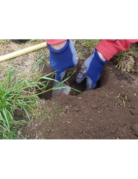 TRAMPA PARA TOPOS 【TIENDA】 TRAMPA PARA TOPOS 【TIENDA】