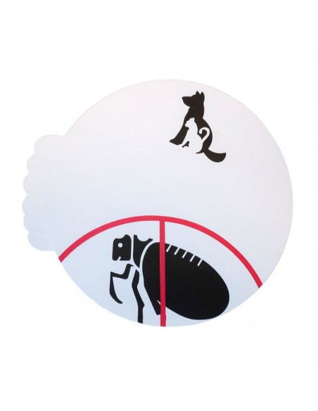 Trampas para Pulgas | Envío Gratis 24/48h