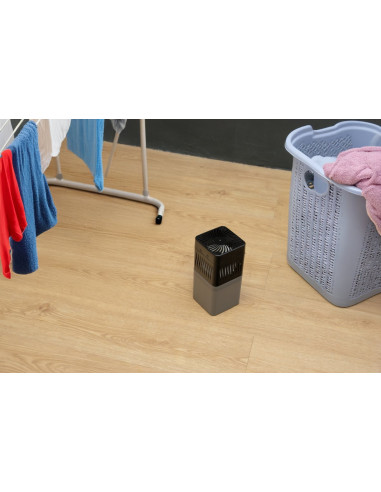 Deshumidificador Absorbe Humedad y Olores 【Comprar】