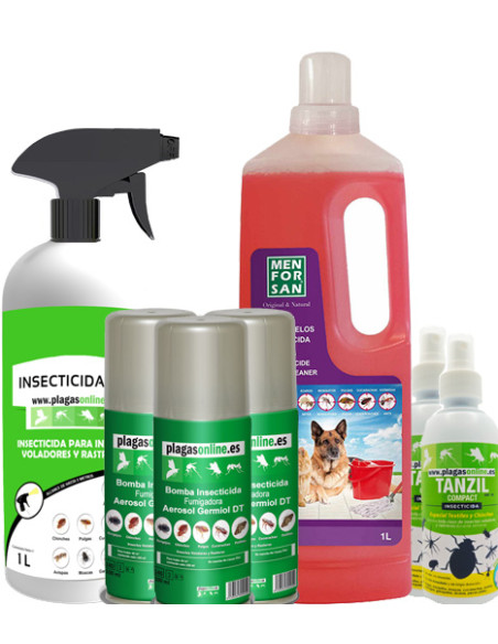 Como Matar Pulgas Como Matar Pulgas